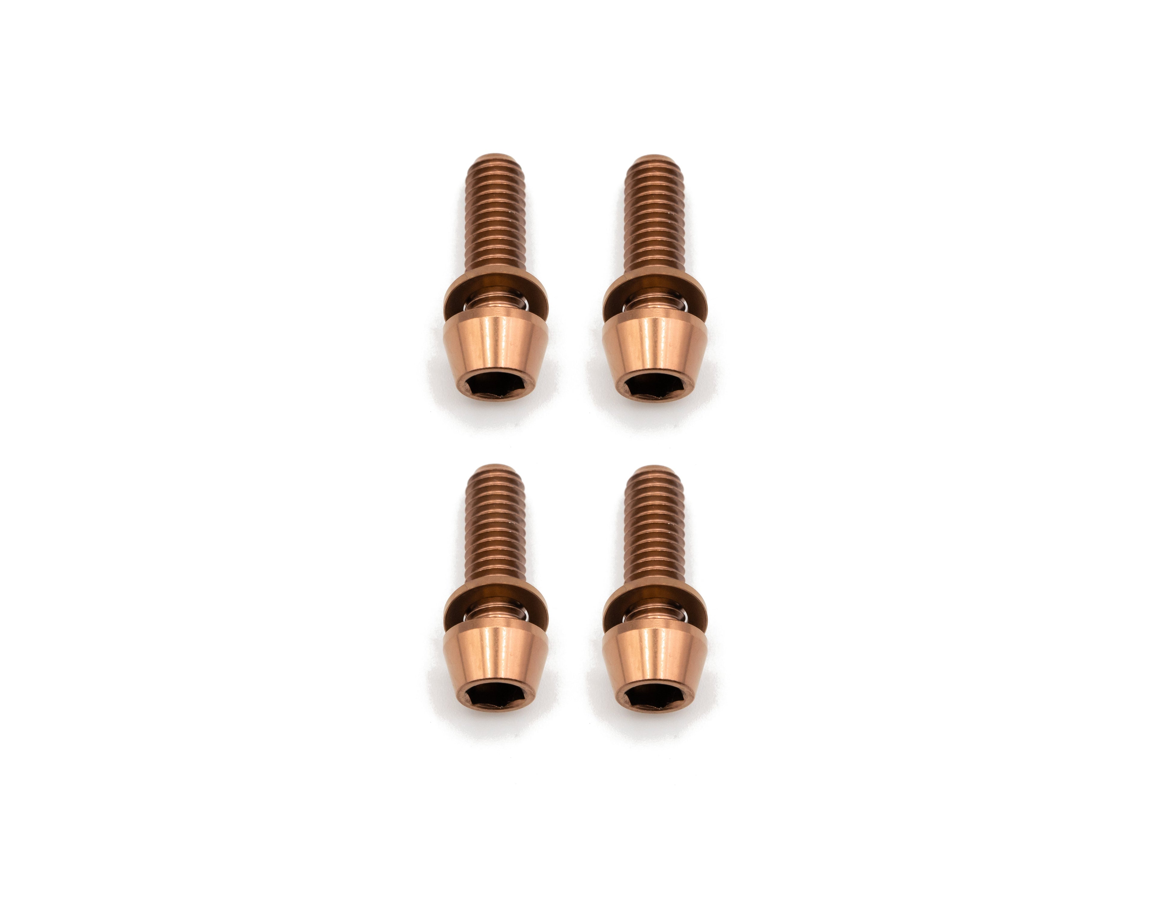 Brake Caliper Mounting Bolts - Mountain - Titanium