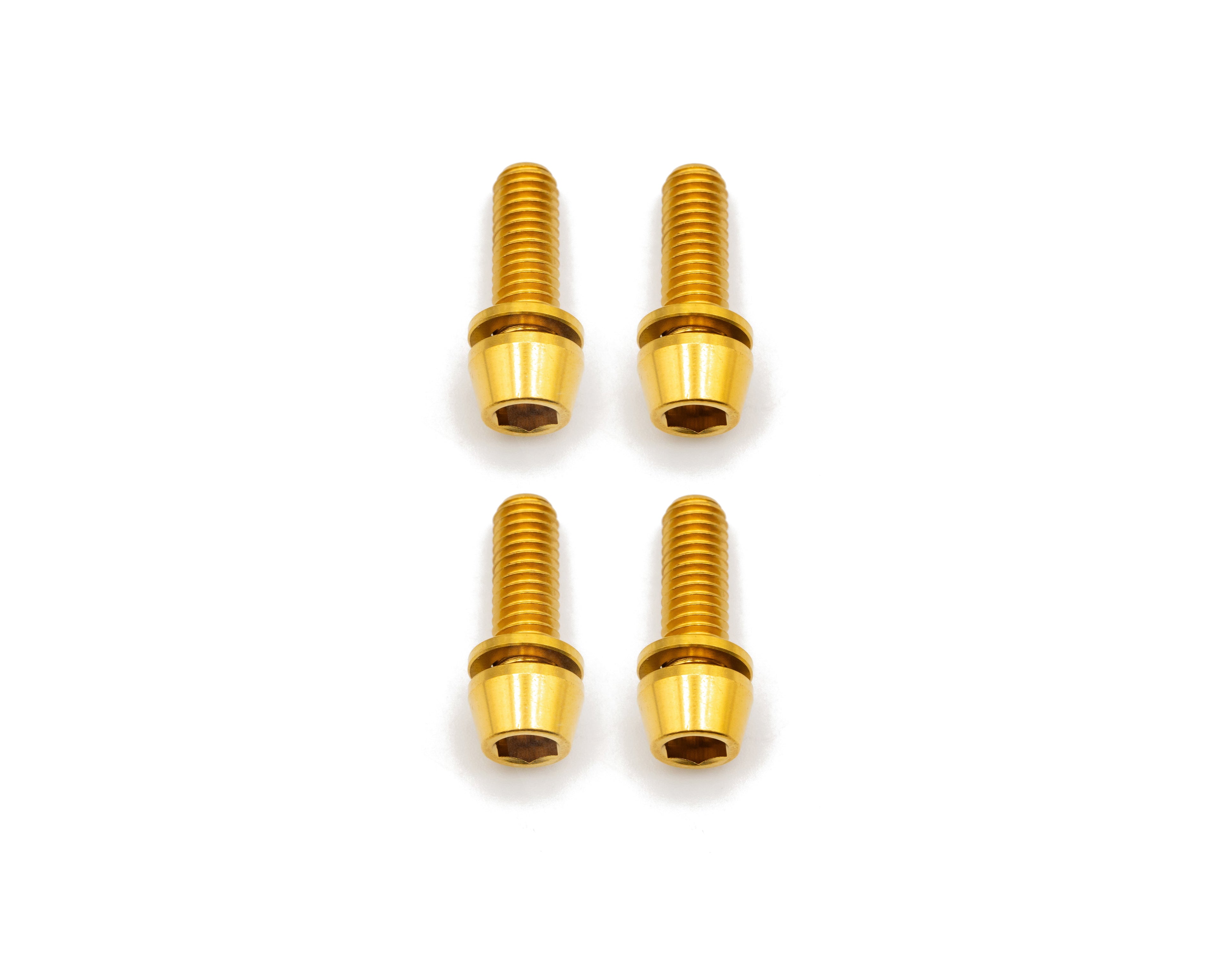 Brake Caliper Mounting Bolts - Mountain - Titanium