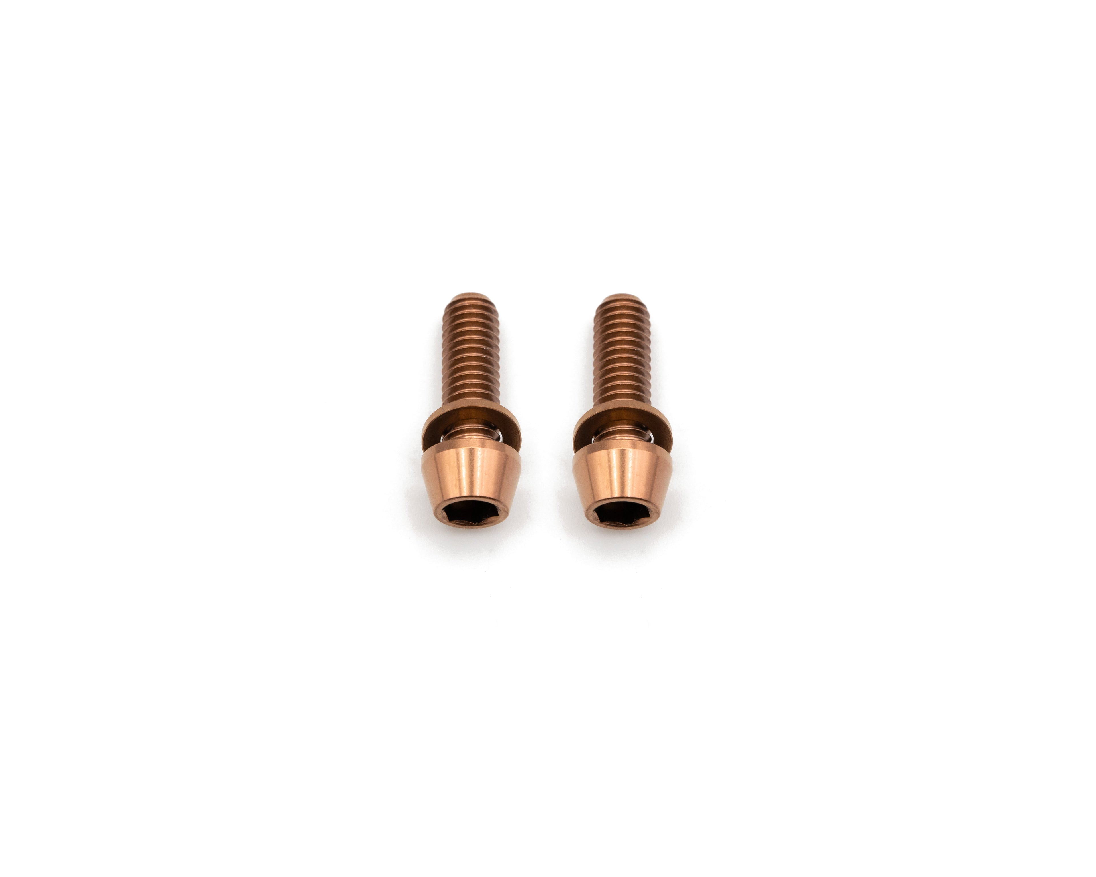 Brake Caliper Mounting Bolts - Mountain - Titanium