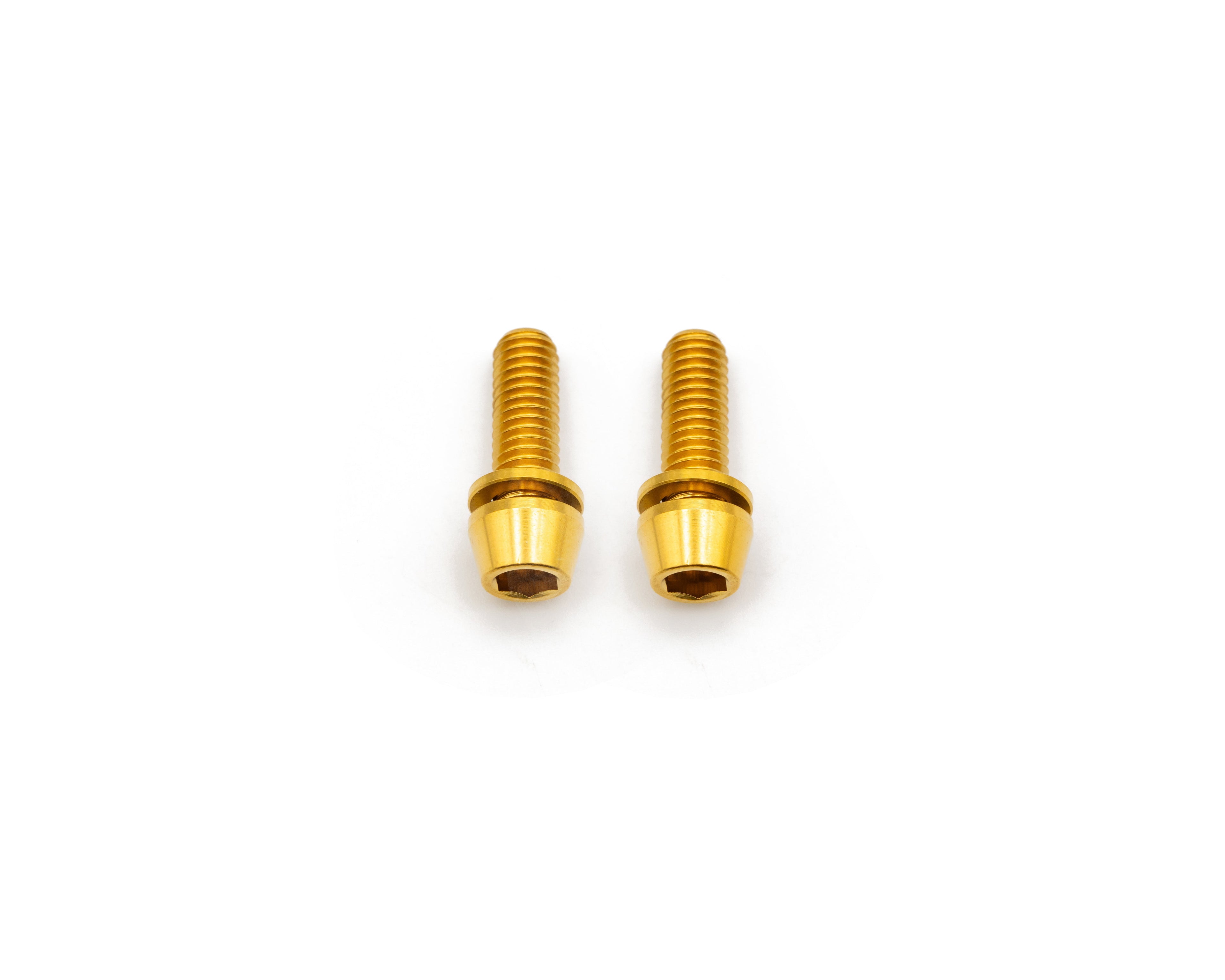 Brake Caliper Mounting Bolts - Mountain - Titanium