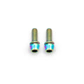 Brake Caliper Mounting Bolts - Mountain - Titanium