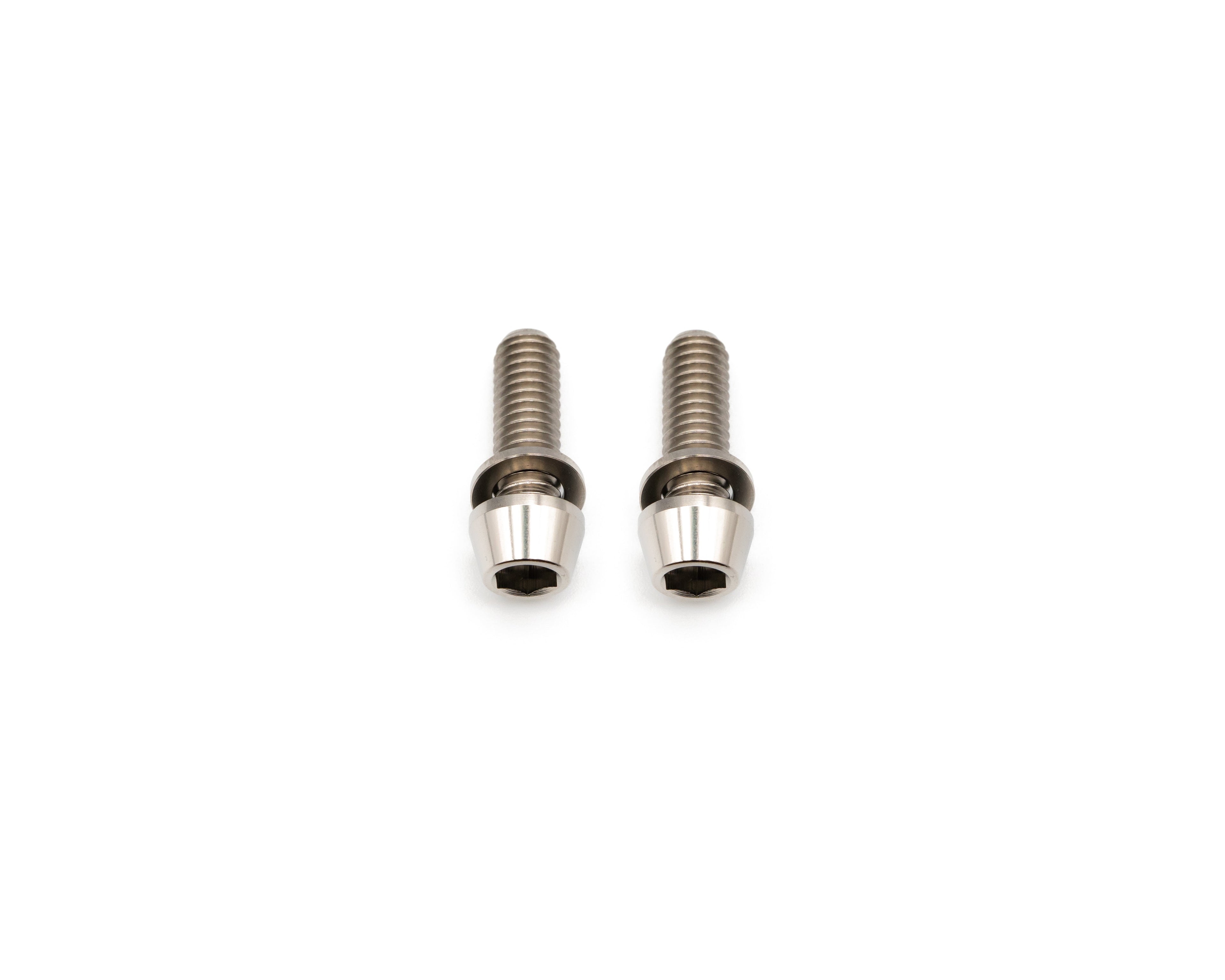 Brake Caliper Mounting Bolts - Mountain - Titanium