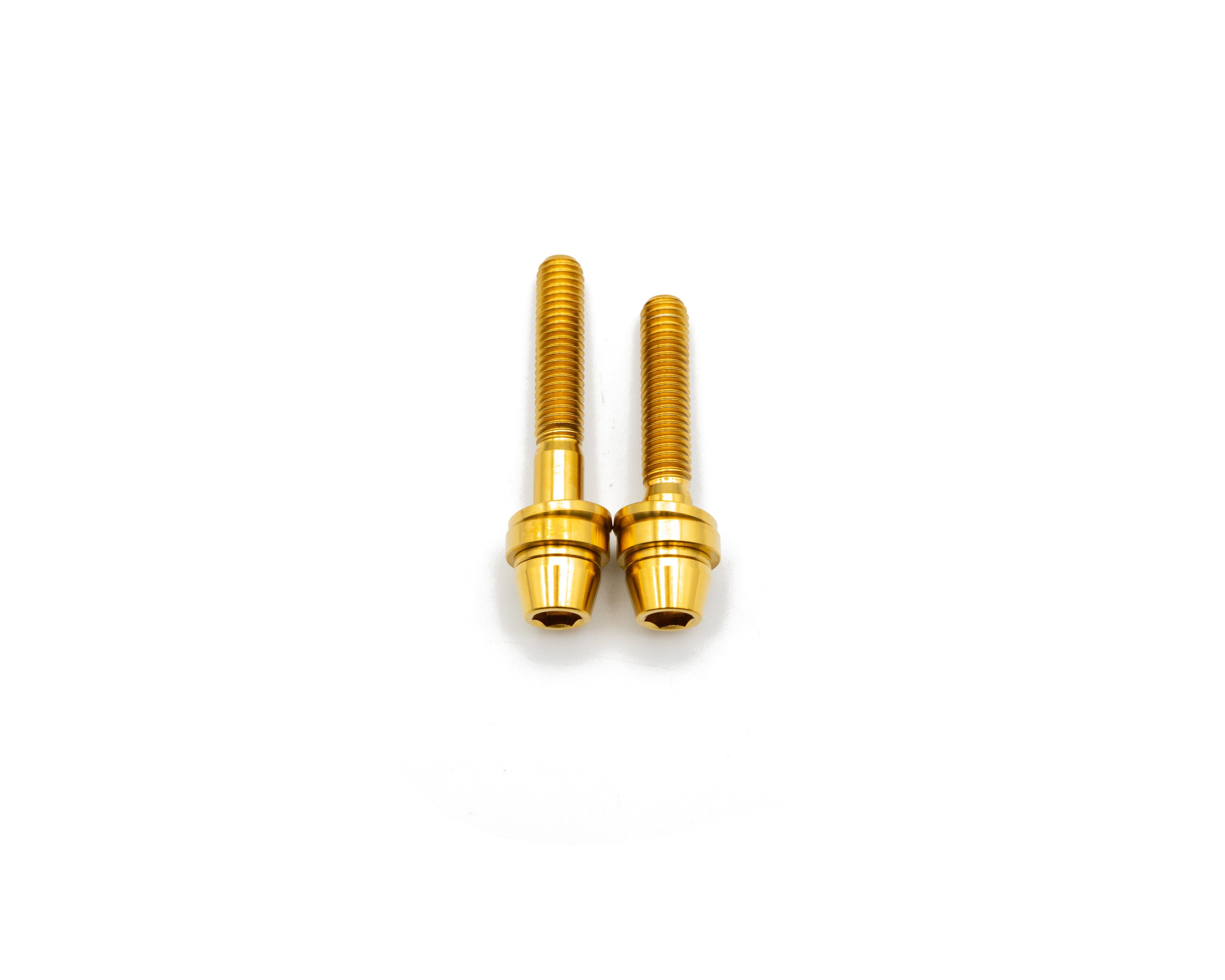 Brake Caliper Mounting Bolts - Mountain - Titanium
