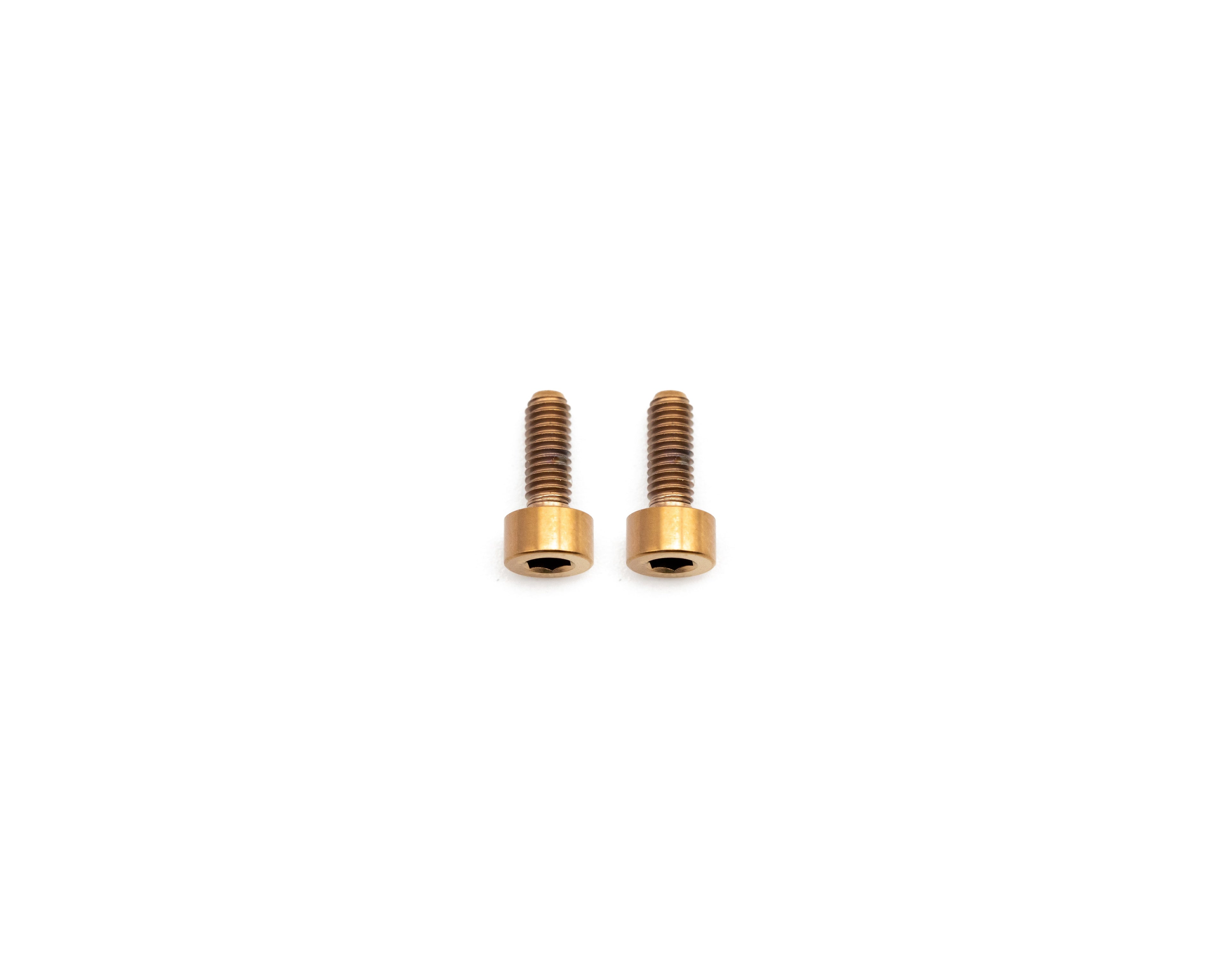 Fox Fork Titanium Bolt Kit