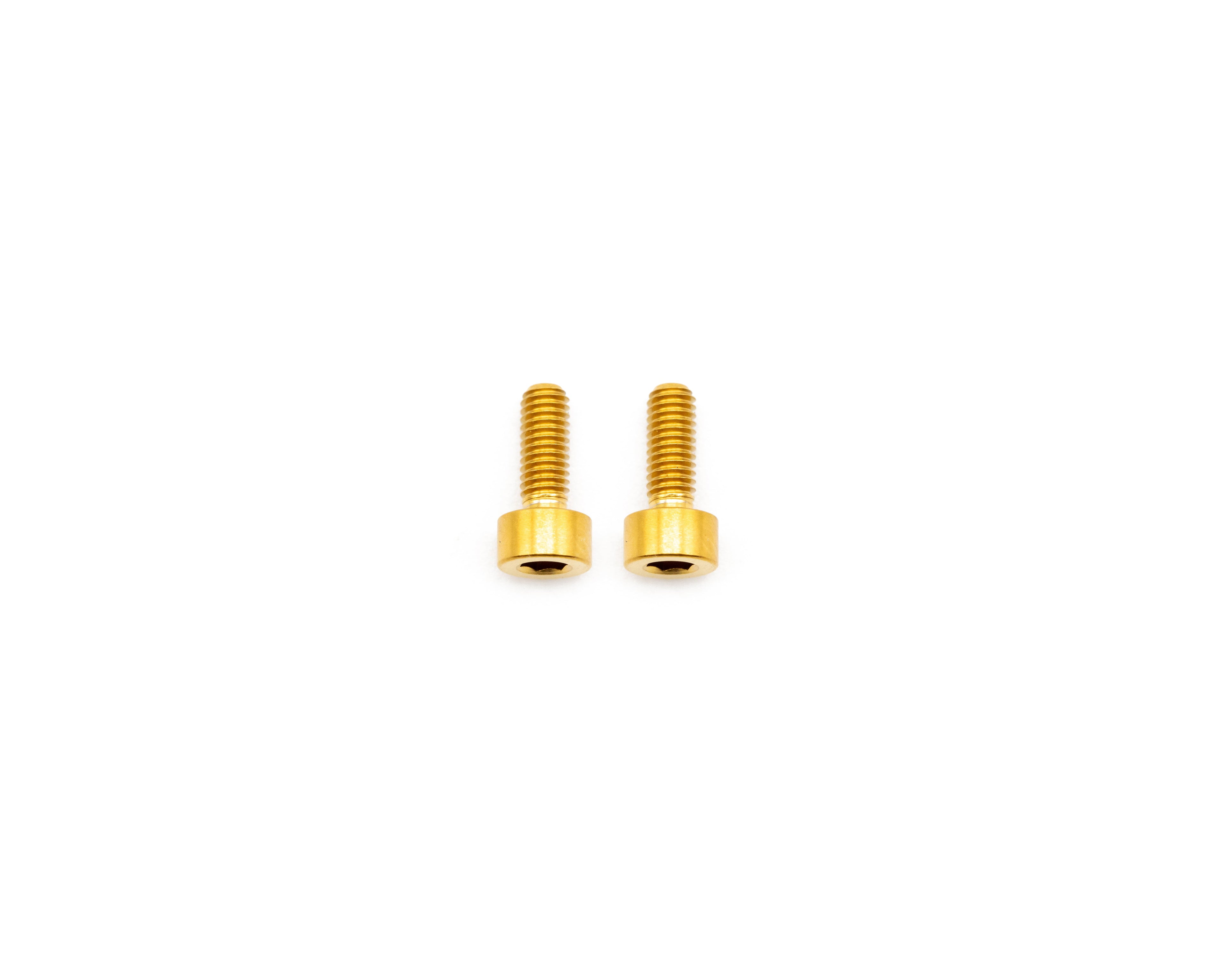 Fox Fork Titanium Bolt Kit
