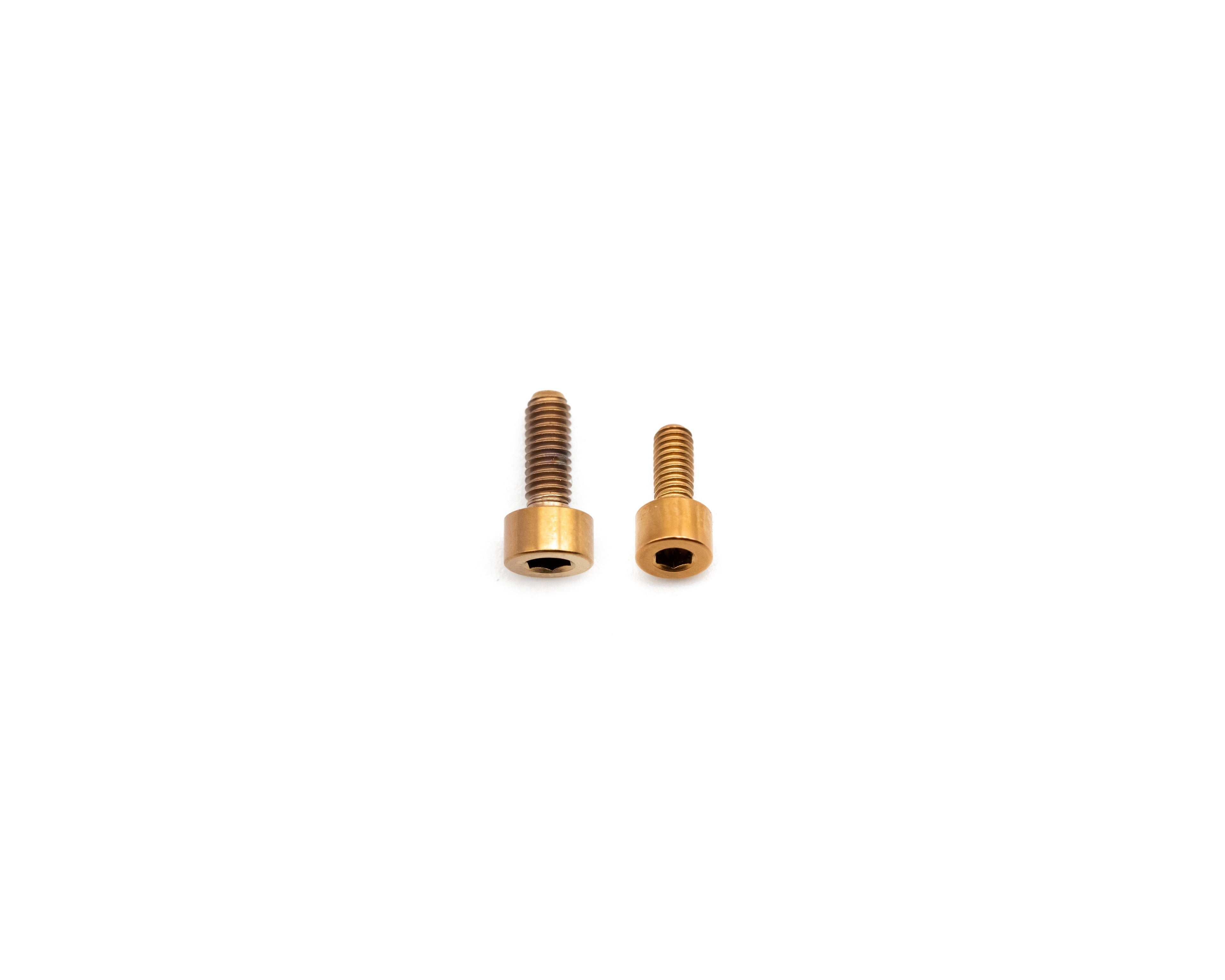 Fox Fork Titanium Bolt Kit