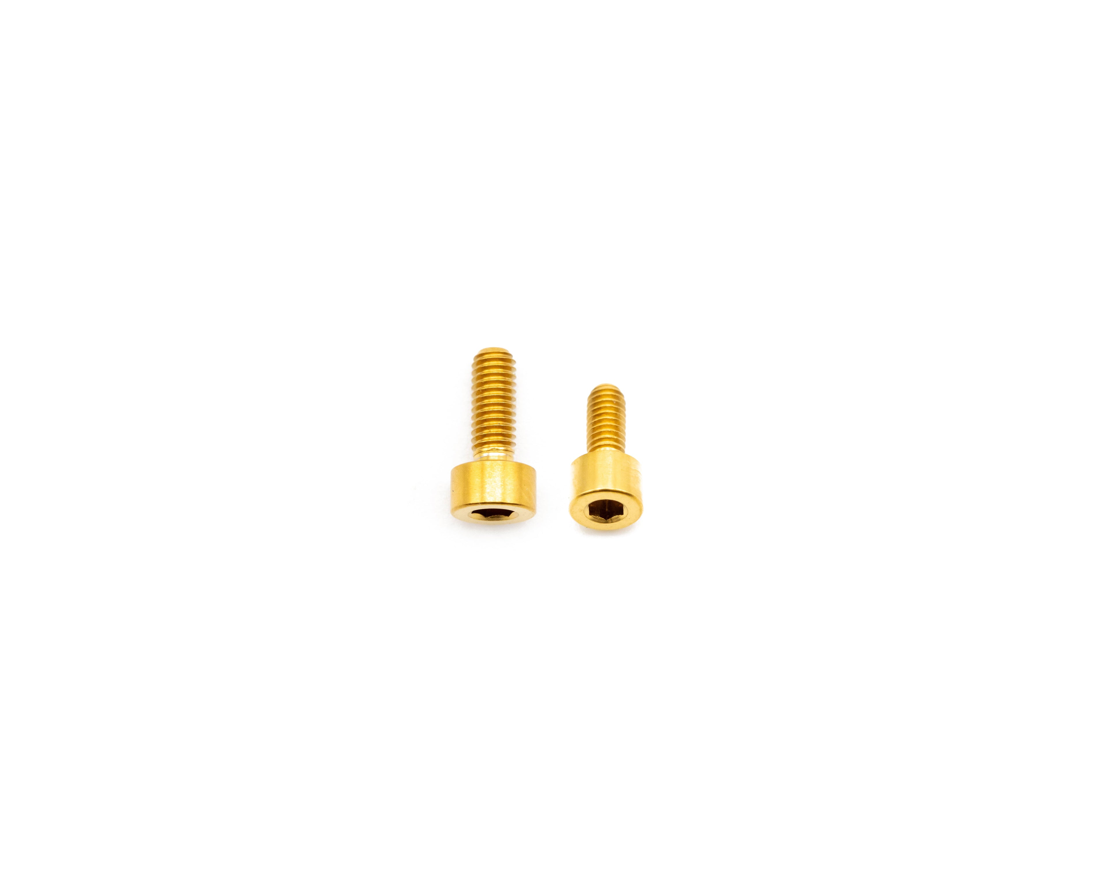 Fox Fork Titanium Bolt Kit
