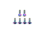 Fox Fork Titanium Bolt Kit