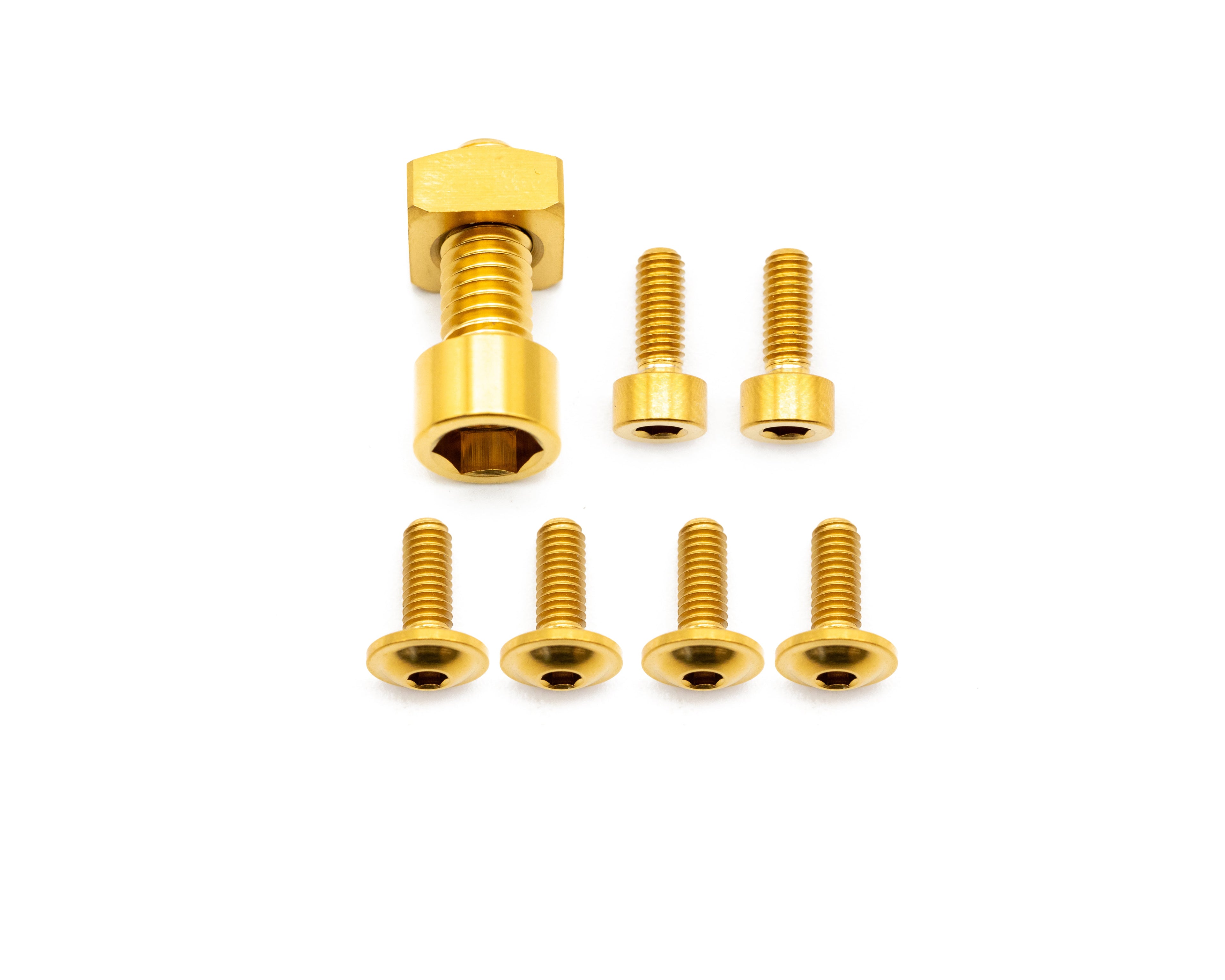 Fox Fork Titanium Bolt Kit