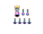 Fox Fork Titanium Bolt Kit