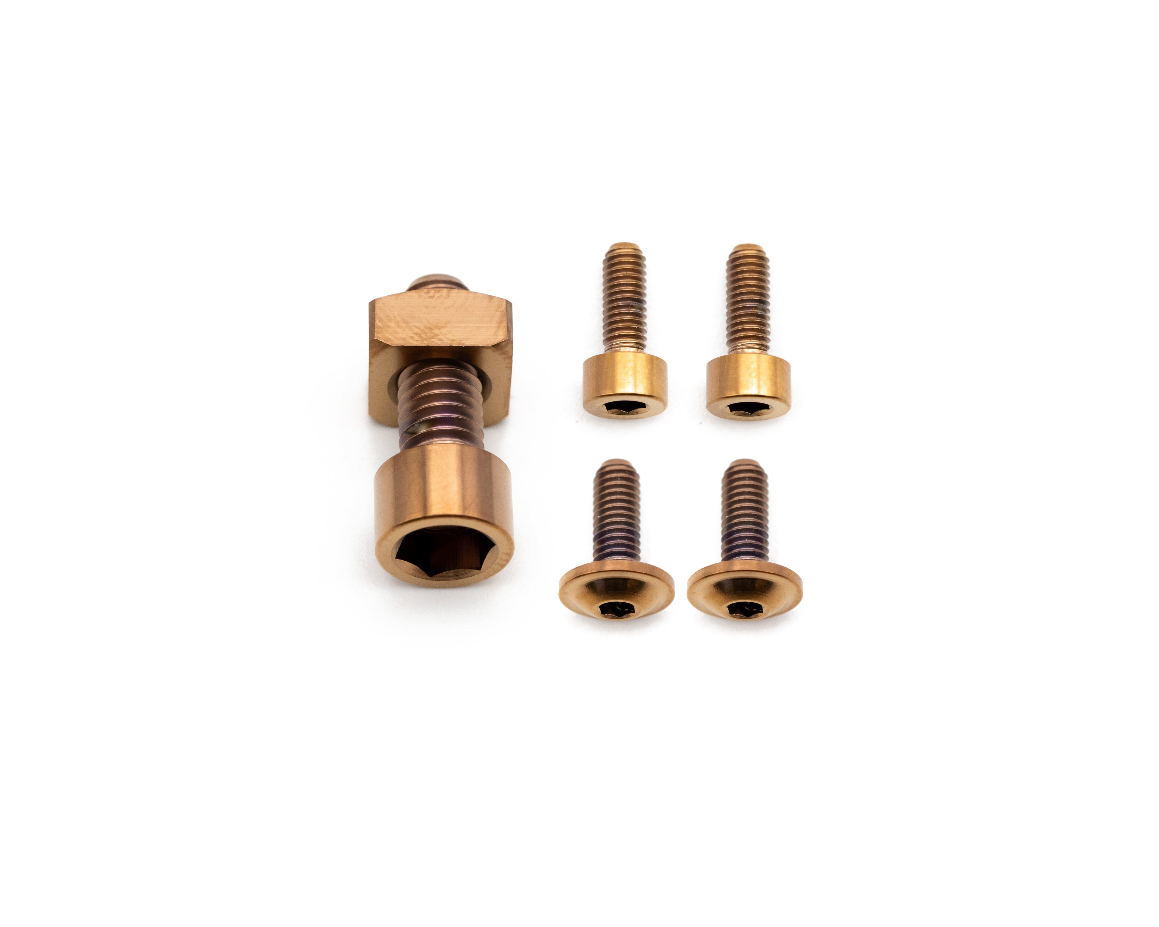 Fox Fork Titanium Bolt Kit