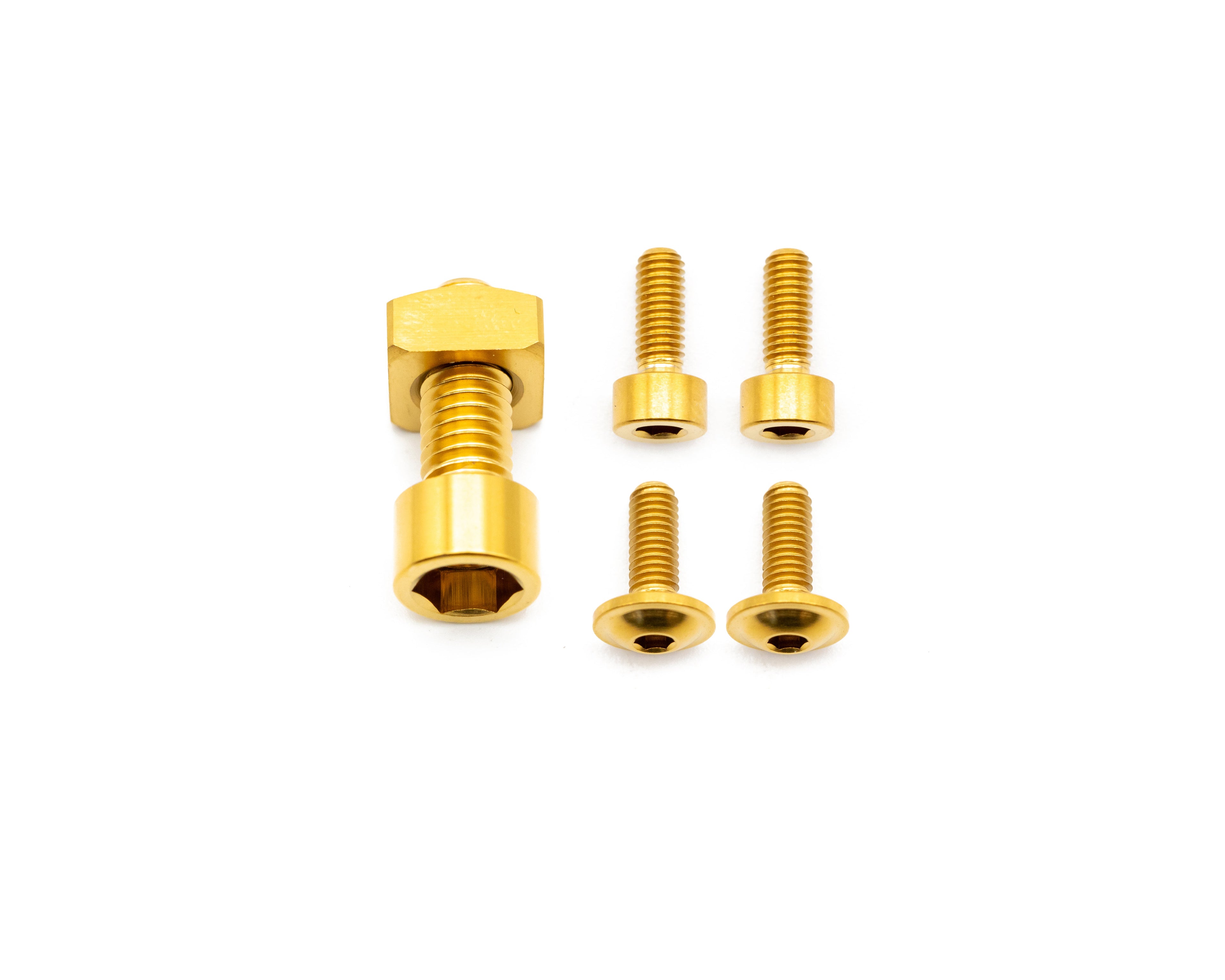 Fox Fork Titanium Bolt Kit