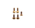 Fox Fork Titanium Bolt Kit