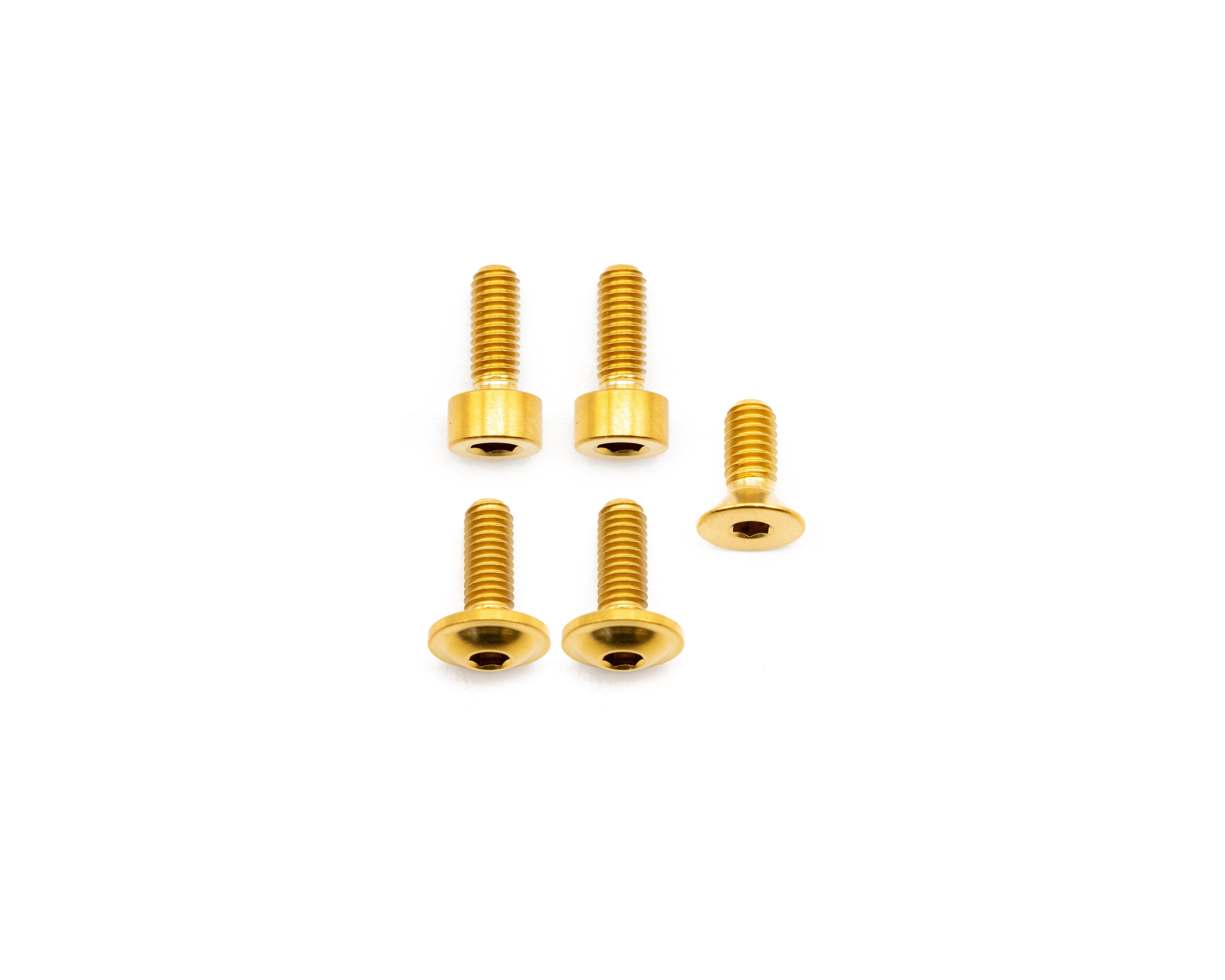 Fox Fork Titanium Bolt Kit