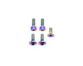 Fox Fork Titanium Bolt Kit