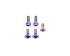 Fox Fork Titanium Bolt Kit