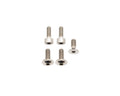 Fox Fork Titanium Bolt Kit