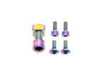 Fox Fork Titanium Bolt Kit
