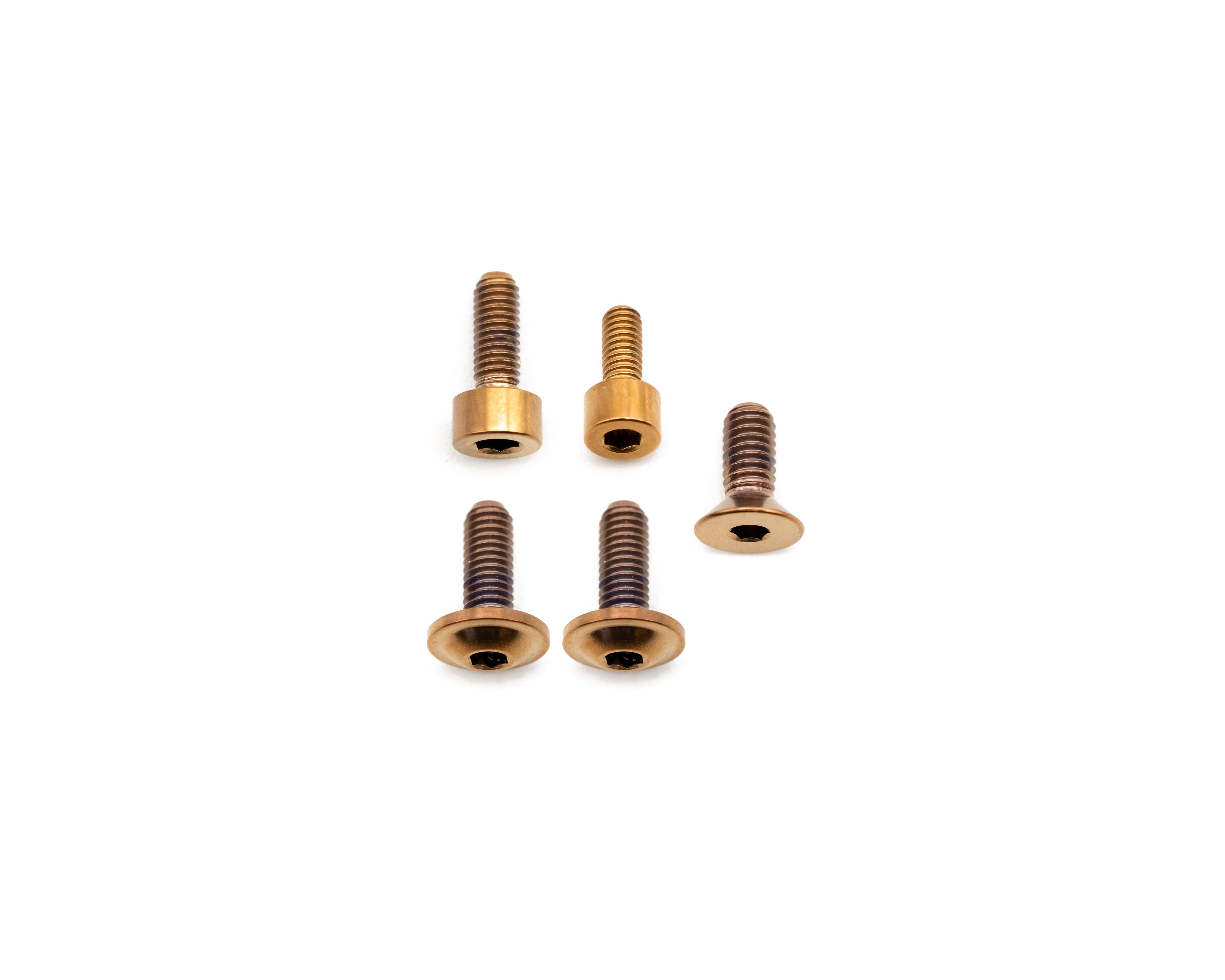 Fox Fork Titanium Bolt Kit