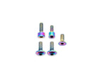 Fox Fork Titanium Bolt Kit