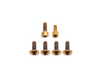 Fox Fork Titanium Bolt Kit
