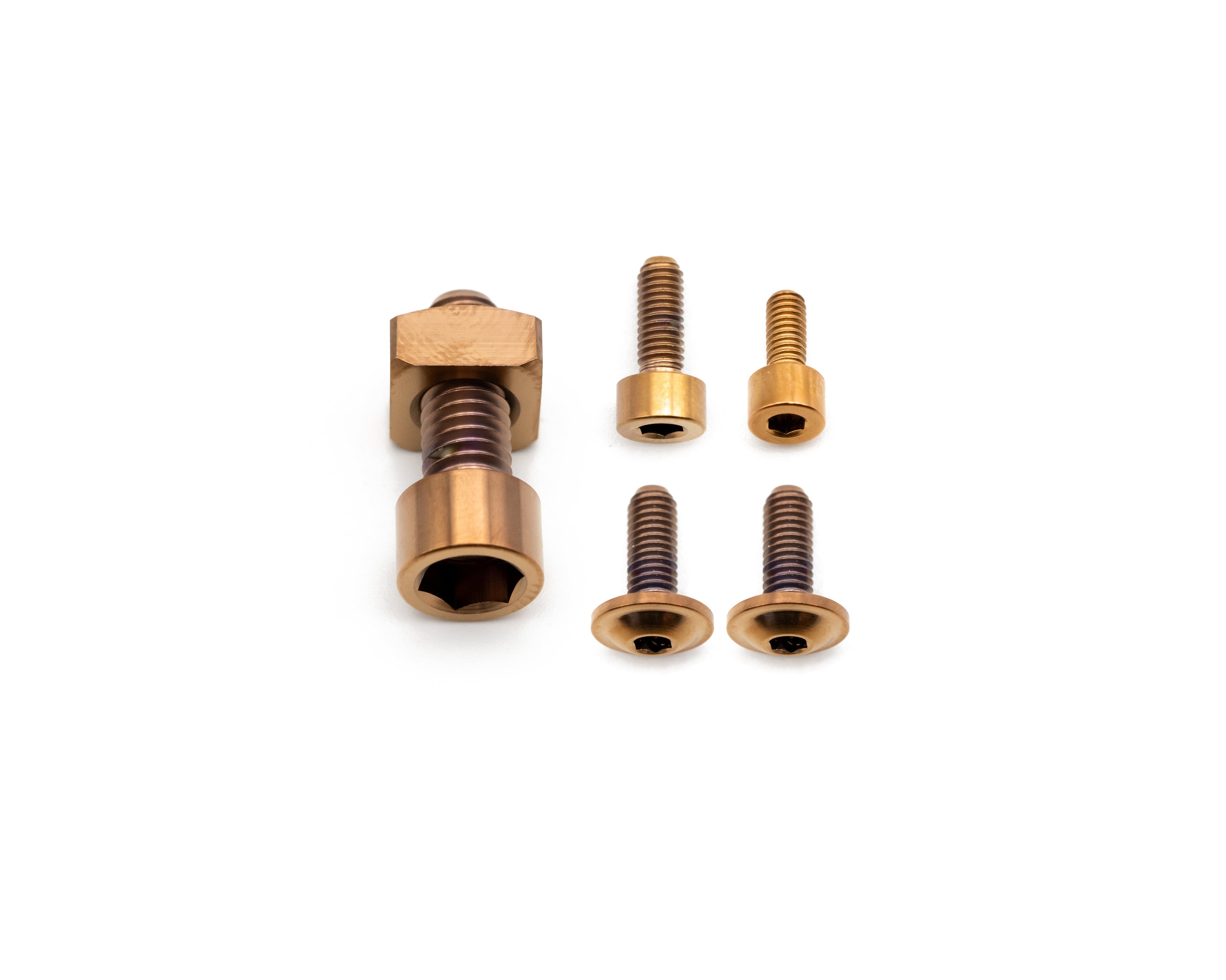 Fox Fork Titanium Bolt Kit