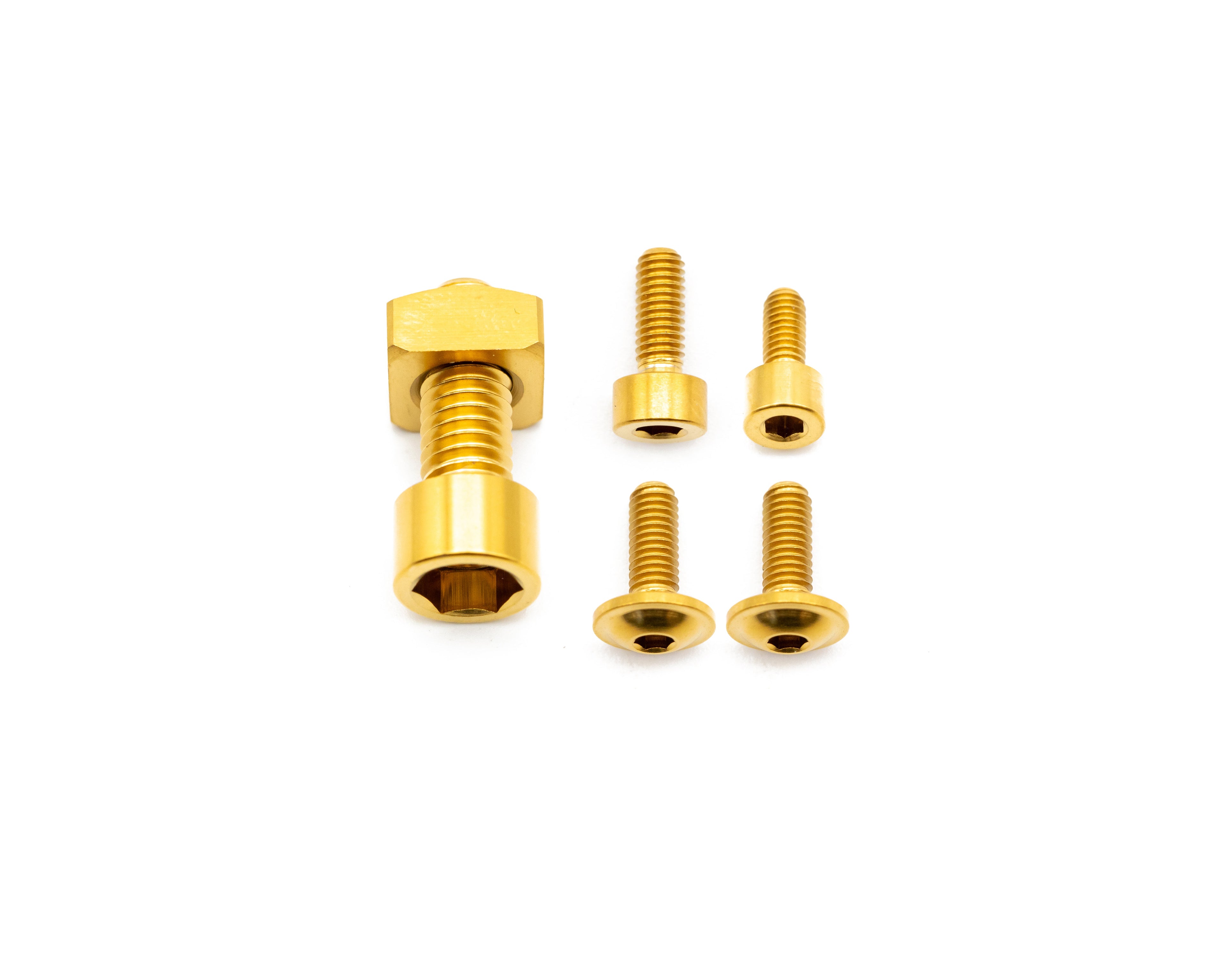 Fox Fork Titanium Bolt Kit
