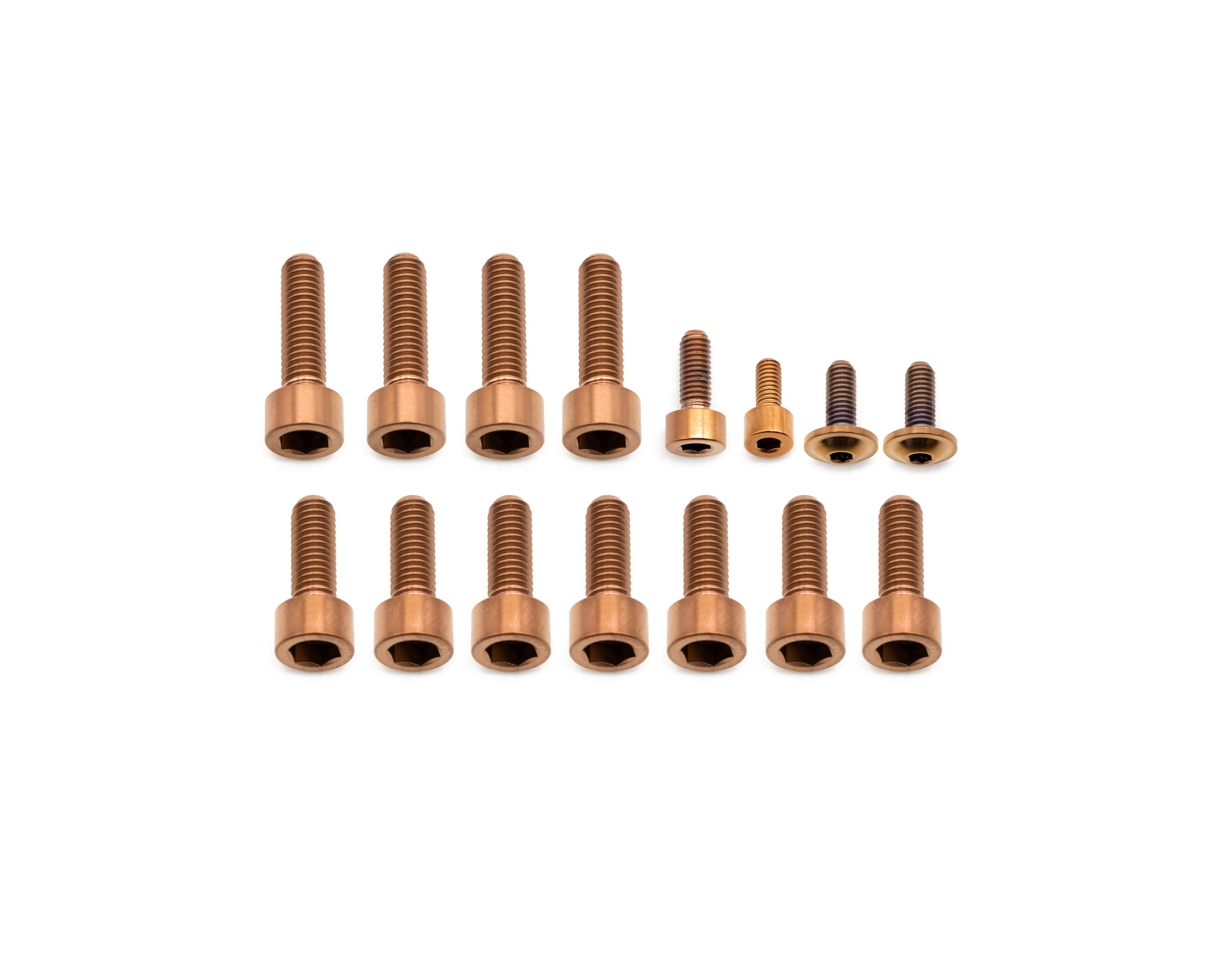 Fox Fork Titanium Bolt Kit