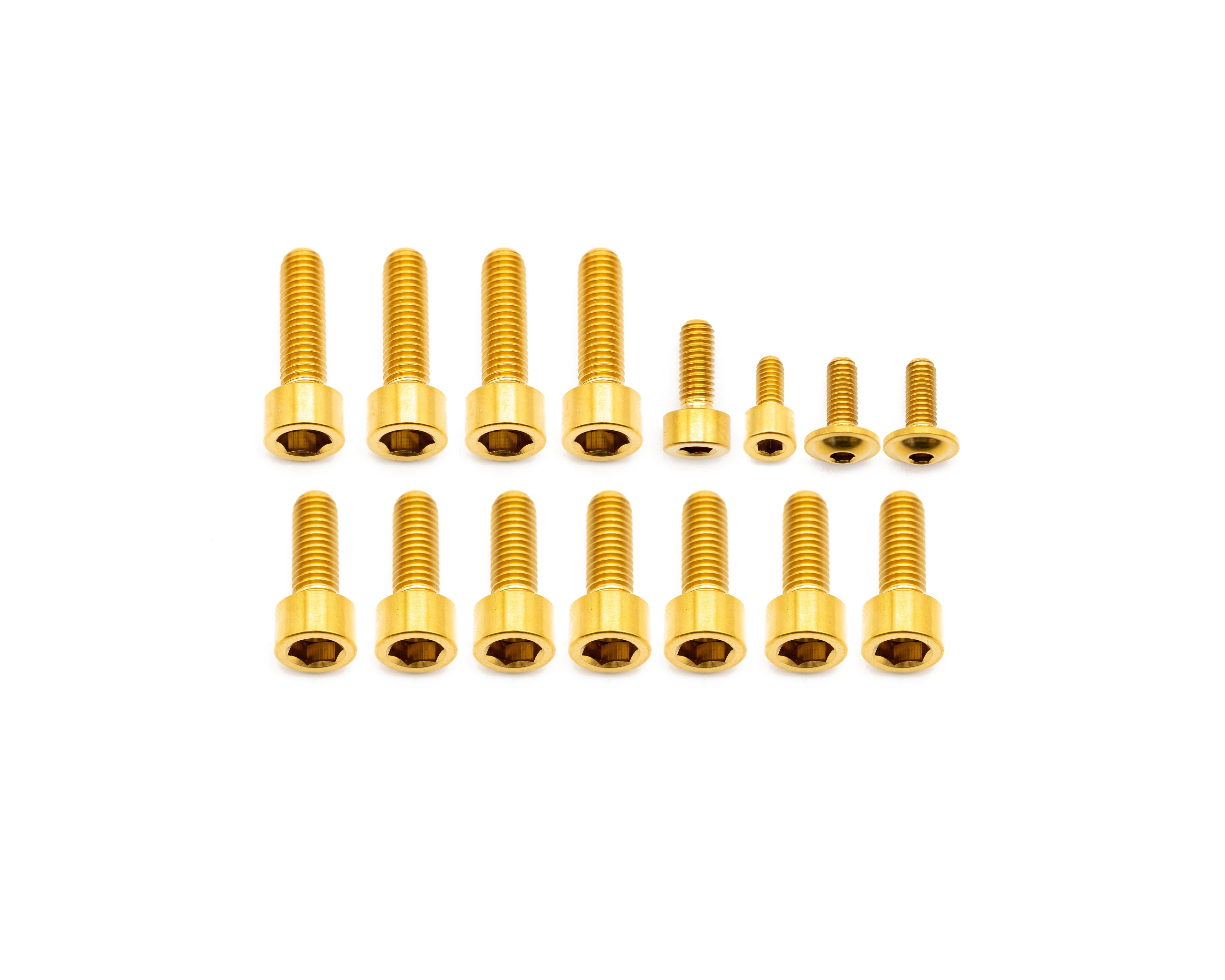 Fox Fork Titanium Bolt Kit