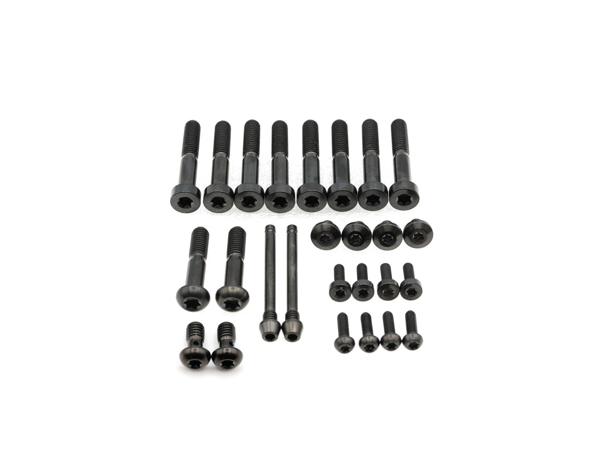 SRAM Maven Brakes Bolt Kit - Titanium