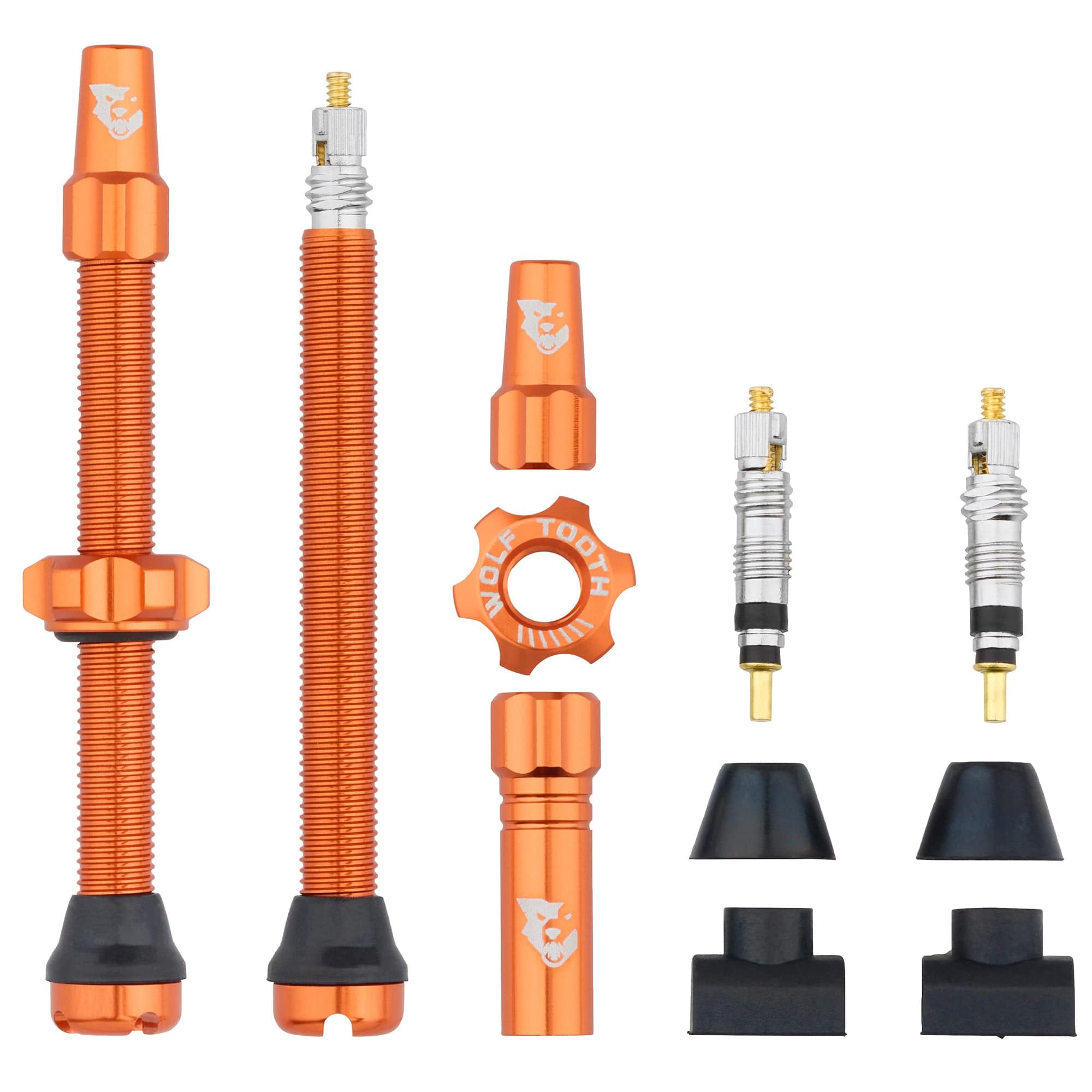 Tubeless Presta Valve Stem Kit